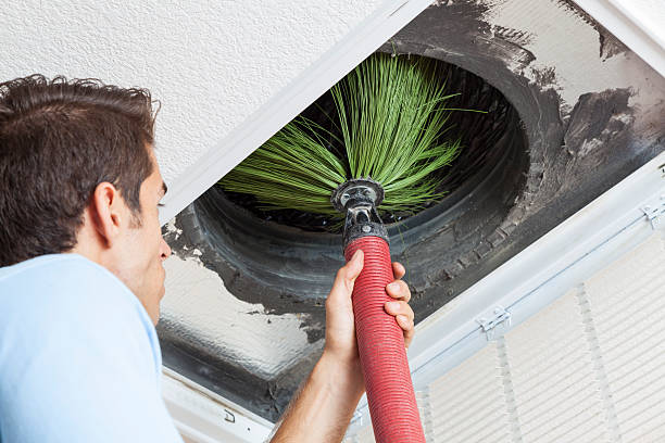 Best Affordable HVAC Duct Cleaning  in Newport, SC