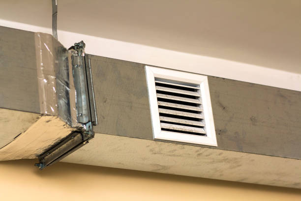 Best Dryer Vent Cleaning Services  in Newport, SC